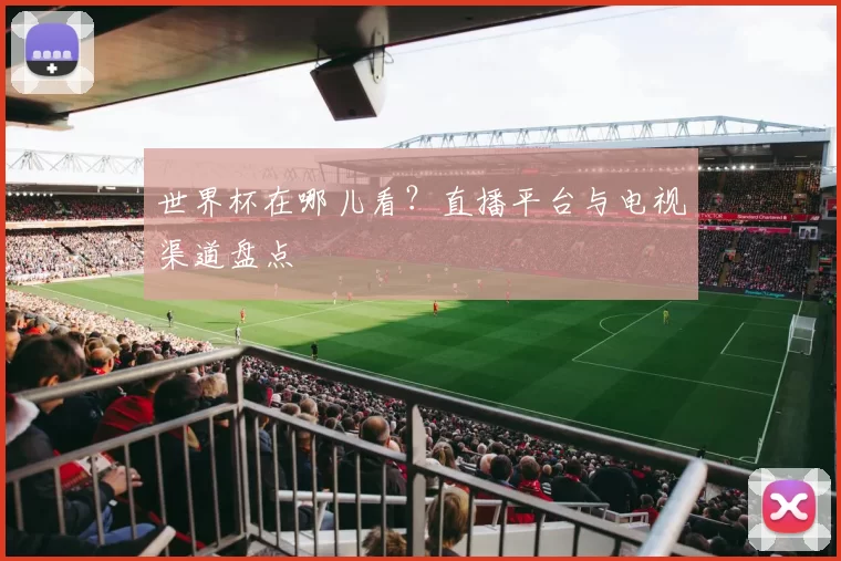 世界杯在哪儿看?直播平台与电视渠道盘点