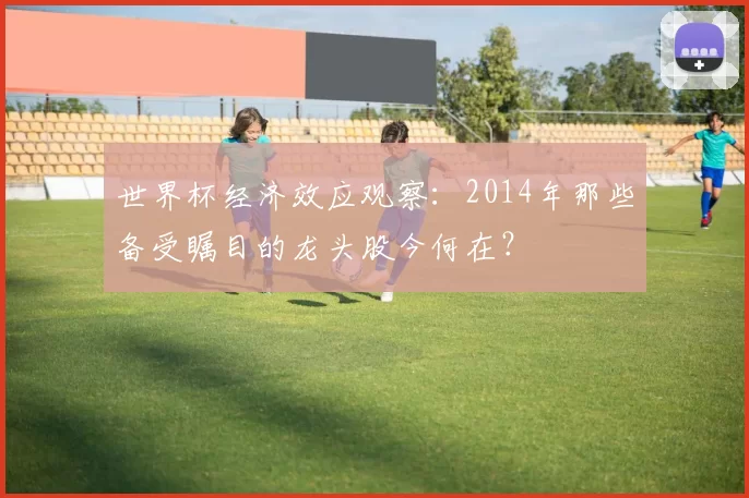 世界杯经济效应观察:2014年那些备受瞩目的龙头股今何在?