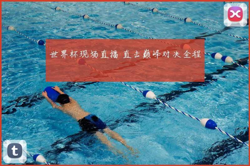 世界杯现场直播 直击巅峰对决全程