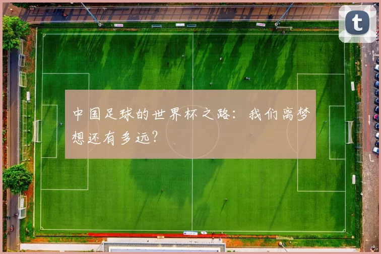 中国足球的世界杯之路:我们离梦想还有多远?