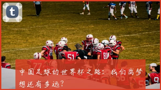 中国足球的世界杯之路：我们离梦想还有多远？