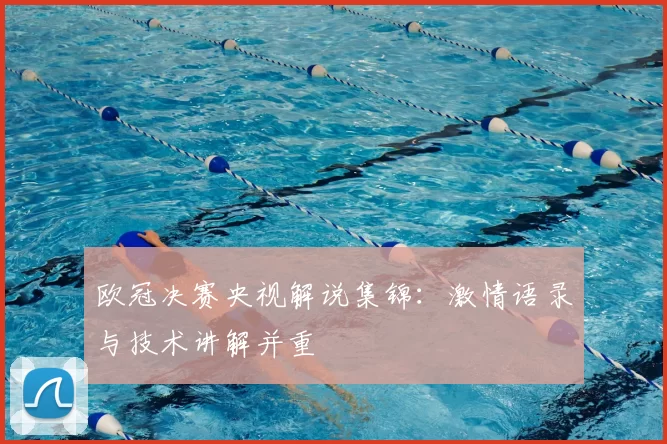 欧冠决赛央视解说集锦:激情语录与技术讲解并重