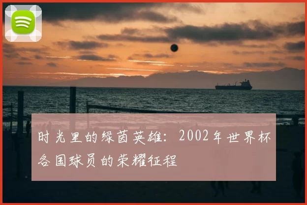 时光里的绿茵英雄：2002年世界杯各国球员的荣耀征程