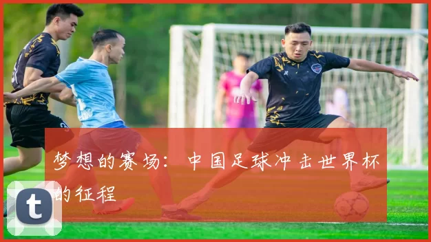 梦想的赛场:中国足球冲击世界杯的征程