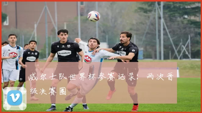 威尔士队世界杯参赛记录：两次晋级决赛圈