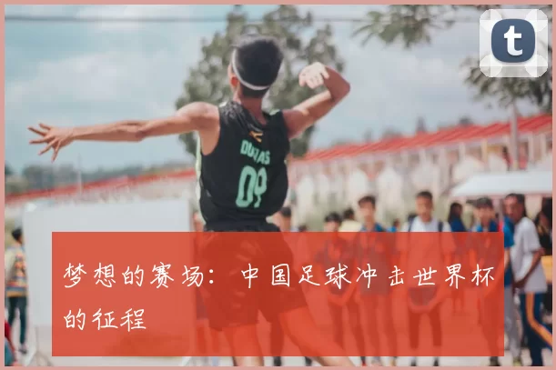 梦想的赛场：中国足球冲击世界杯的征程