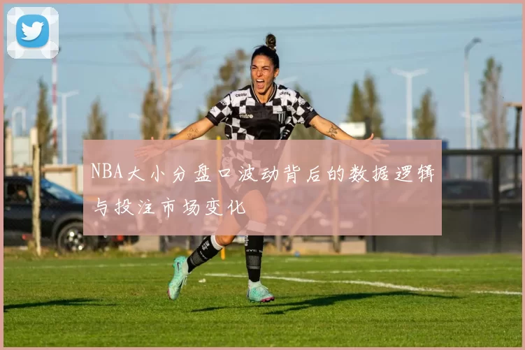 NBA大小分盘口波动背后的数据逻辑与投注市场变化
