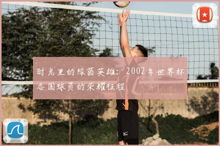 时光里的绿茵英雄：2002年世界杯各国球员的荣耀征程