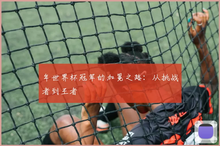 年世界杯冠军的加冕之路:从挑战者到王者