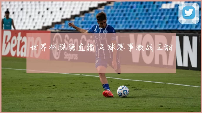 世界杯现场直播 足球赛事激战正酣